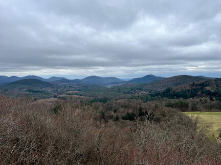 24-03-01 12-27-02 8868